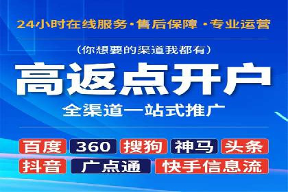 低成本高回报：百度竞价代理成功案例分析